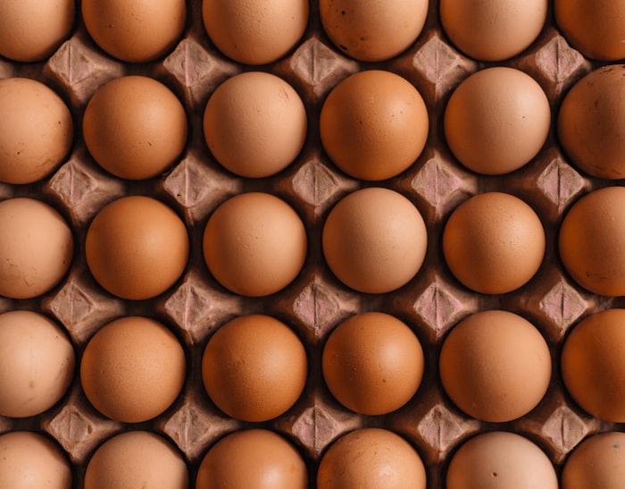Free-range barn-raised eggs